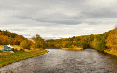 Water restrictions expanded to Distillery heartlands